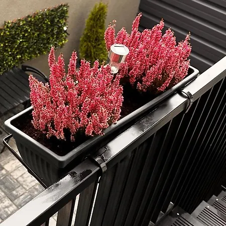 דירה Madonna - Petunilor קריובה