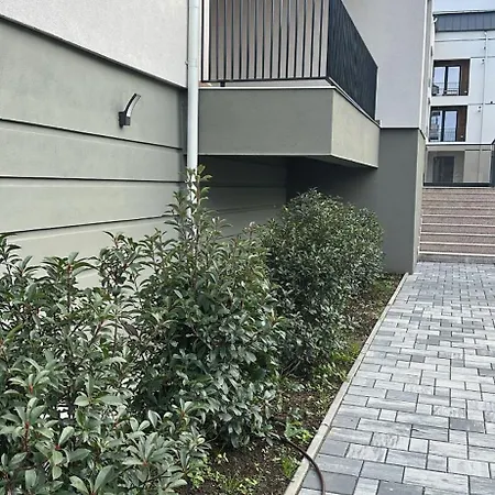 Madonna - Petunilor * קריובה