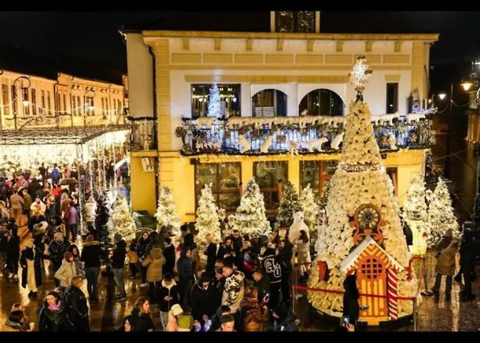 & Garden Madonna - Petunilor Craiova