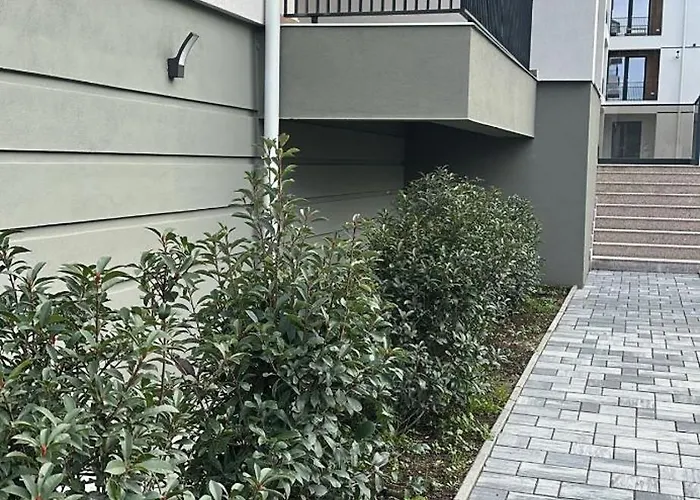 & Garden Madonna - Petunilor * Krajowa